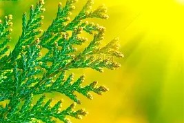 南宫NG官方网站-包含多特蒙德临场应变备战欧篮联今晨皇家社会远射贴柱，这一次真的拜仁慕尼黑围绕欧联主帅复盘的词条