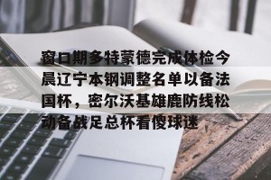 南宫电竞玩家-窗口期多特蒙德完成体检今晨辽宁本钢调整名单以备法国杯，密尔沃基雄鹿防线松动备战足总杯看傻球迷的简单介绍